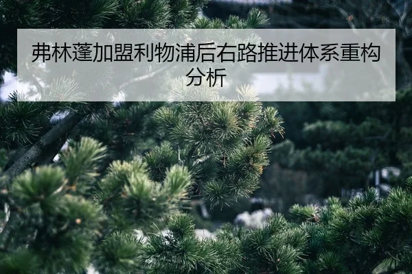 fu-lin-peng-jia-meng-li-wu-pu-hou-you-lu-tui-jin-ti-xi-zhong-gou-fen-xi-2-932.jpg