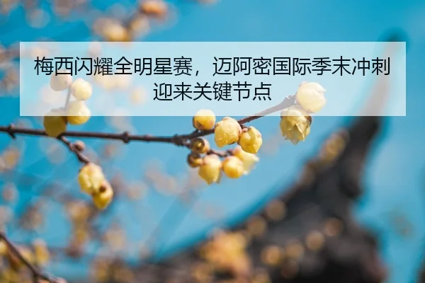 mei-xi-shan-yao-quan-ming-xing-sai-mai-a-mi-guo-ji-ji-mo-chong-ci-ying-lai-guan-jian-jie-dian-2-423.jpg