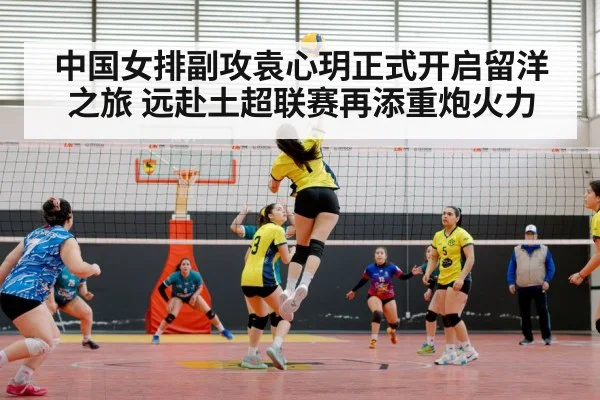 volleyball match action
